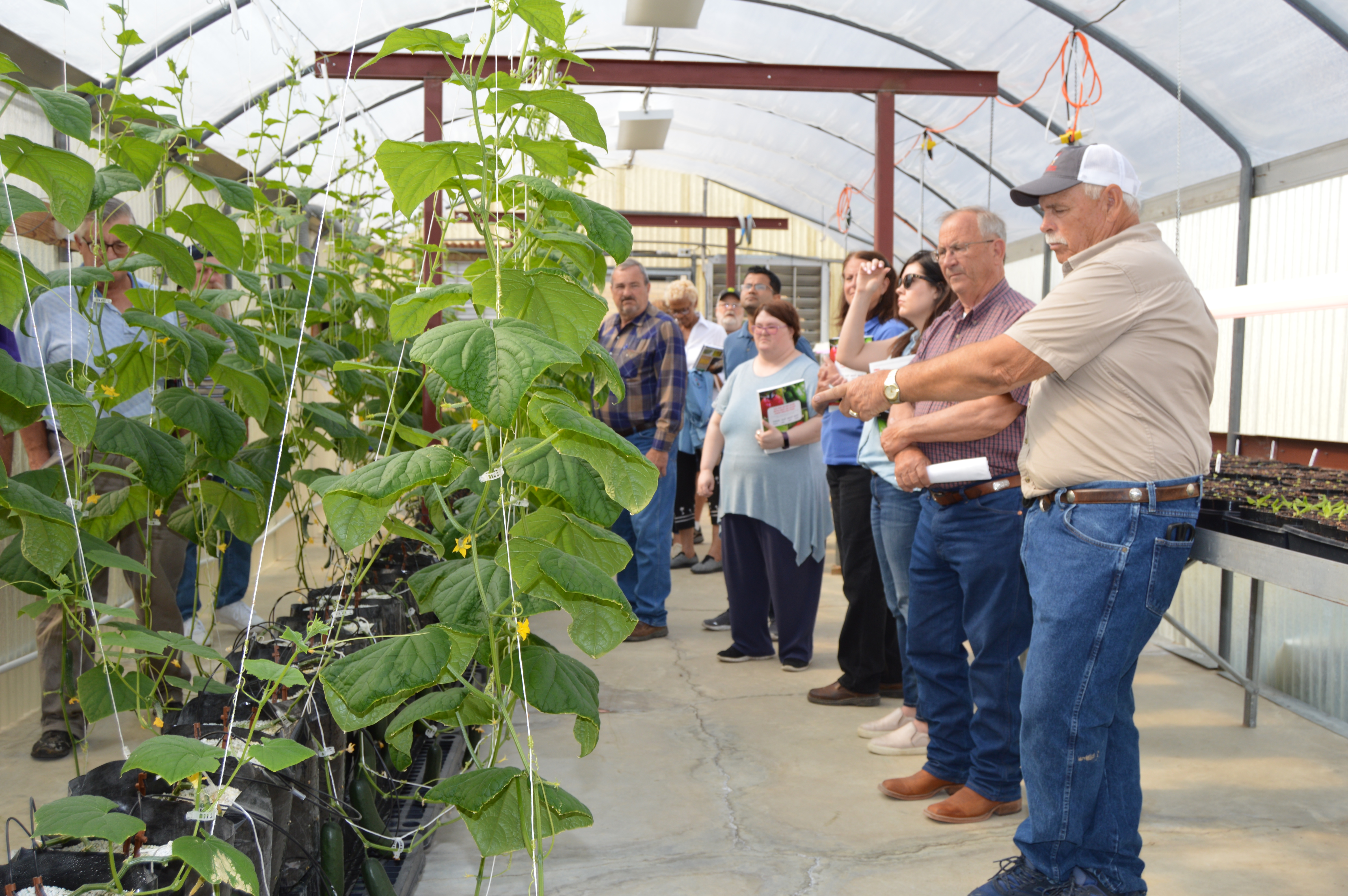 Fruit, vegetable field tour showcases farm operations